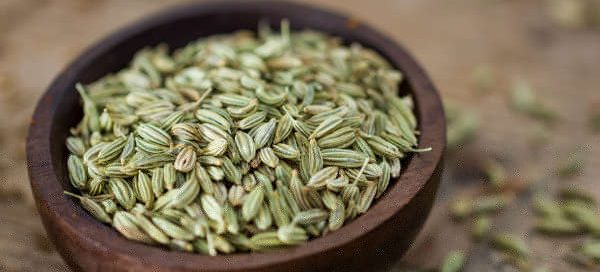 "মূর্খের দেশে আবার কিসের বিশ্ববিদ্যালয়, তারাতো ঠিকমতো কথাই বলতে জানেনা!"