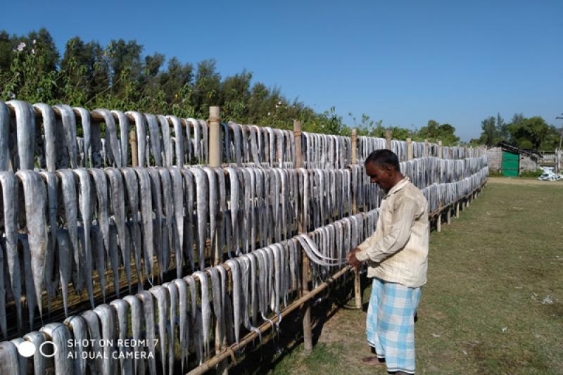 শুঁটকি পল্লী