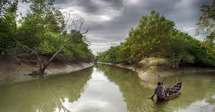 ফাতরার বন