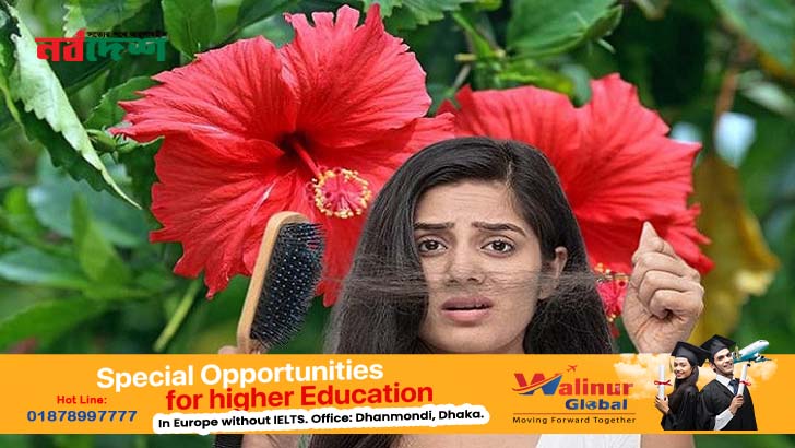 জবা ফুলের রসেই পাকা চুল হবে কালো, বন্ধ হবে চুল পড়া