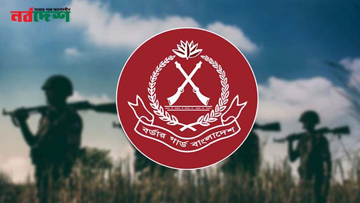 দুর্ধর্ষ অভিযানে গোলাগুলি: এক রাতে ২৯ কোটি টাকারও বেশির ইয়াবা জব্দ করল বিজিবি