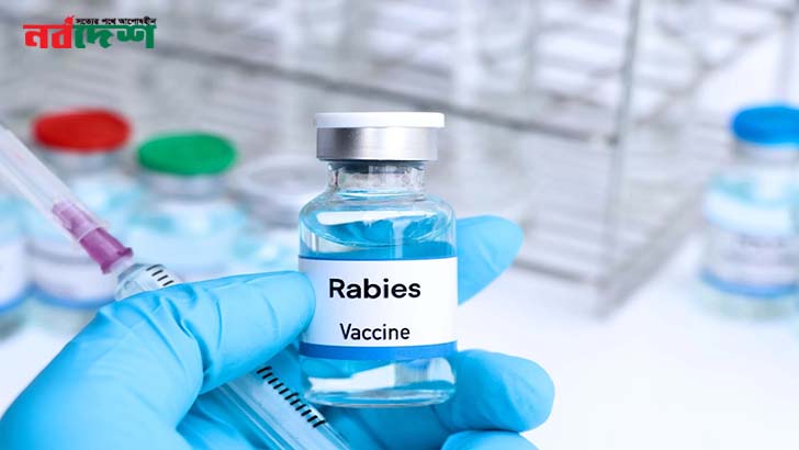 সরকারি হাসপাতালে নেই র‍্যাবিস টিকা, বাইরে চড়া দাম